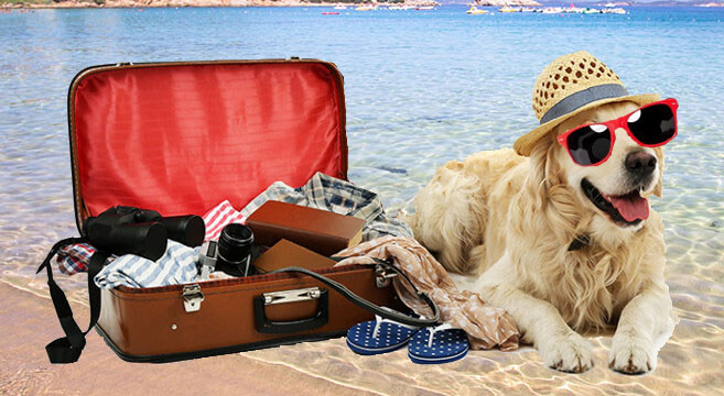 vacanze con cane